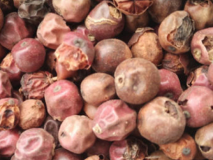 �����ӵĹ�Ч���� ���������ڽ���Գ���