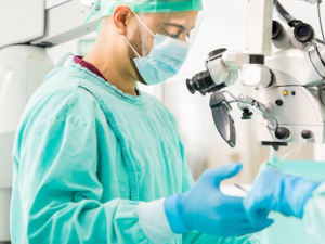 ����������ʲô��ʳ���� ��֪����