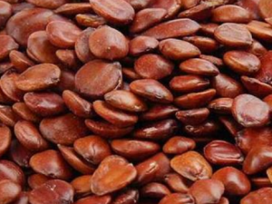 ��������ˮ�Ȼ�����Щ��Ч