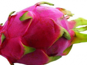 ��Щ��Ⱥ����ʳ�û����� ��������ʳ�ý���