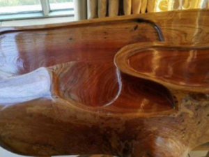 ����ľ�Ĺ�Ч���� ����ľ�����˳�Ѫ