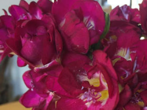 �����ػ��Ĺ�Ч���� �����ػ��ⶾ�����ν����