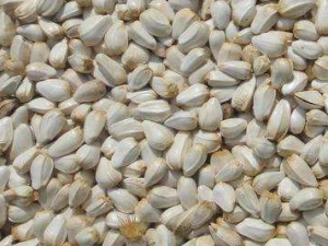 �컨������Щ��Ч���� �컨���θ�ŮѪ�����͸�ʹ