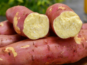 ����Ĺ�Ч���� ��������ɱ���μ���������