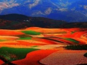 �����ӵĹ�Ч���� ��������ű