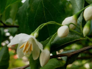 ��Ϣ��������Щ��� ��Ϣ����Ĺ�Ч����