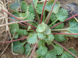 �����ݵĹ�Ч���� �����������ܰ���