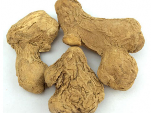 �ڽ�����Щ��Ч���� �ڽ�����Ƣθ�麮��ʹ��к