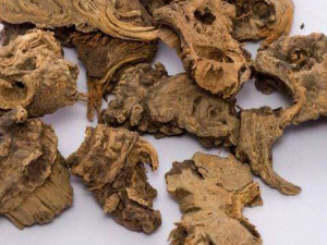 �½�޻���Ĺ�Ч���� �½�޻�����Ʒ纮ͷʹ