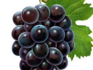 ������ôϴ�ɾ� �����ϰ׵Ķ����ܳ���