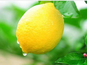 ���ʴٽ�Ѫѭ�� ��������Щ���ݹ�Ч��