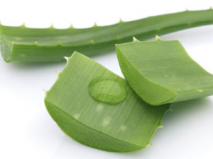 �����������˪ ����«�������ݹ�Ч