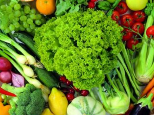 �ļ�����Ӧ���ѡ��ʳ�� һ����������