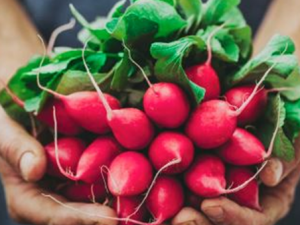 ����������Ե����� ���˱�������ķ���