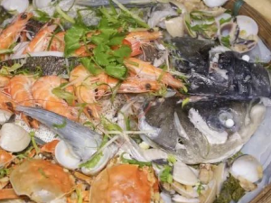 ���������ѡʲôʳ�� ��������Ž���