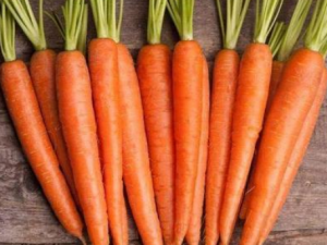 ���ܲ��Ĺ�Ч���� ���ܲ��ΰ��տ�