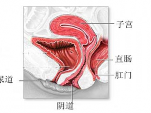 Ƶ���ĳ�ϴ����������Ů�Խ��� ��֪����