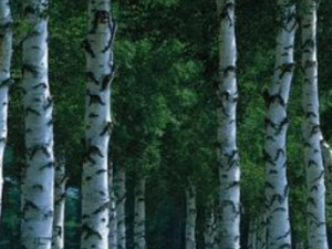 ����Һ�Ĺ�Ч���� ����Һ�ο�������