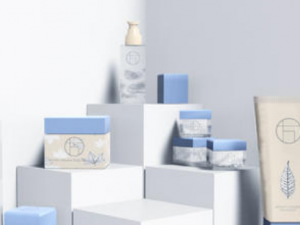 ��������Ӧ��α��� ���������ȥ����