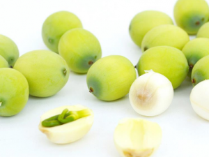 �������ӿ����䶳�� �������ӵı��淽��