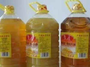 �͵���������Щ ��ν���ѡ��