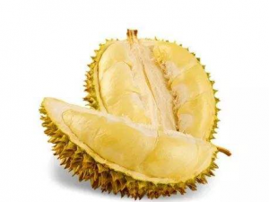 �Բ��������Ӧ���������