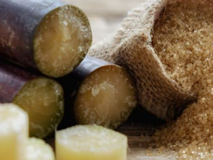 �����ļ����Ӧ���̴� ��ҽ�ط��������̴�����