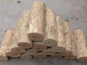 ����ľ�Ĺ�Ч���� ����ľ�η�ʪ