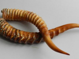 ���������Щ��Ч �������С����ð����