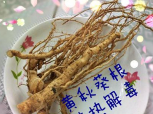 ������������� �����������·��Ⱦ