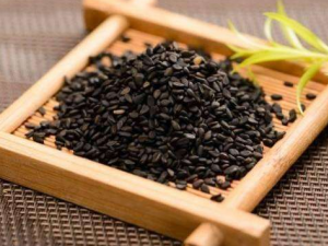 Ƣθ�麮���˲��˶�Ժ�֥��