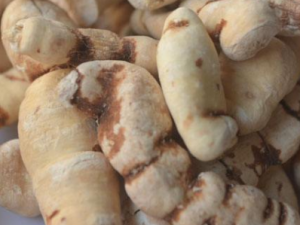 ����������Щ֢״ �����׵�����ƫ��