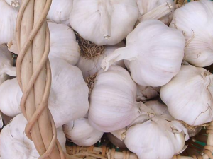 �Ҹλ����ļ�Ӧ����ν��б���