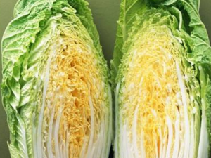 ��ѿ�ײ˵Ĺ�Ч���� ��ѿ�ײ��߾�����С��