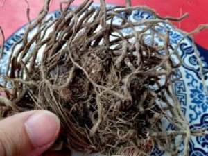 ���������ݵĹ�Ч���� �������������̴����Ѹ�