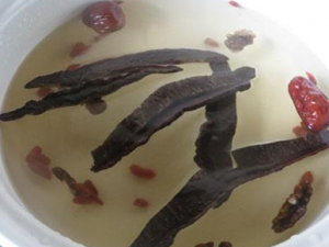 ������������ ������������ЩҪע���