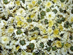 �ջ��εĹ�Ч���� �ջ����η������