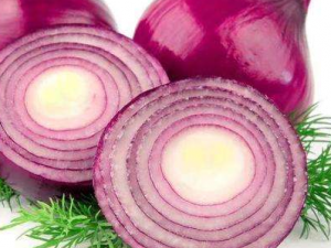 ÿ�ճ��������Щ�ô� ��п����������