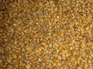 ��������Щ��Ч���� ��������������