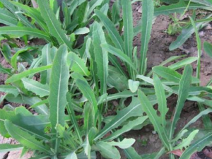 è�۴�������� è�۴�������ƫ��