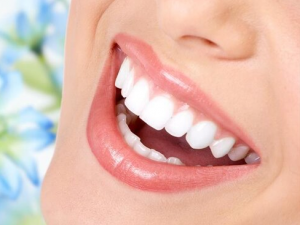 ������������ɻƱ�� С�����һЩС����