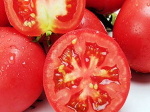 ������Ӧ���ѡ�� ��ѡ�������ķ����Ƽ�