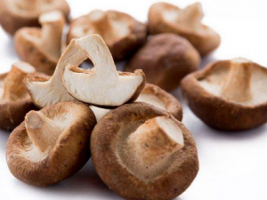 �㹽����ô��ѡ ʲô�����㹽����