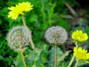 ���������ѹ�Ӣˮ����Щ�ô�