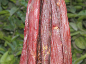 ����ʳƷӦ�����ѡ ����ʳƷ���������