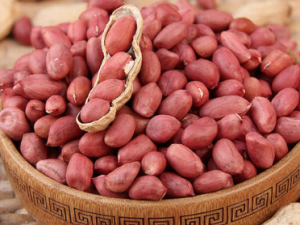 ������Ҫ�ٳԻ��� �������˳Ի�������