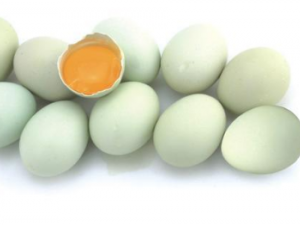 ���ʶ���Ѽ�� Ѽ��Ҳ�мٵ���