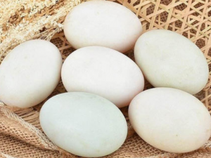 ��ѡ���ʵ������� һ����ѧѧ��