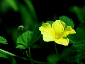 ��ϻ��Ĺ�Ч���� ��ϻ��μ�������