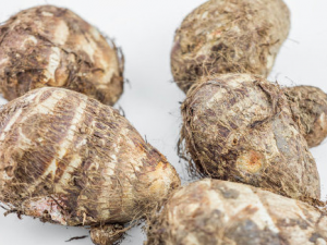 ������ֵ����ͷ�ļ��� С����������ѡ��ͷ